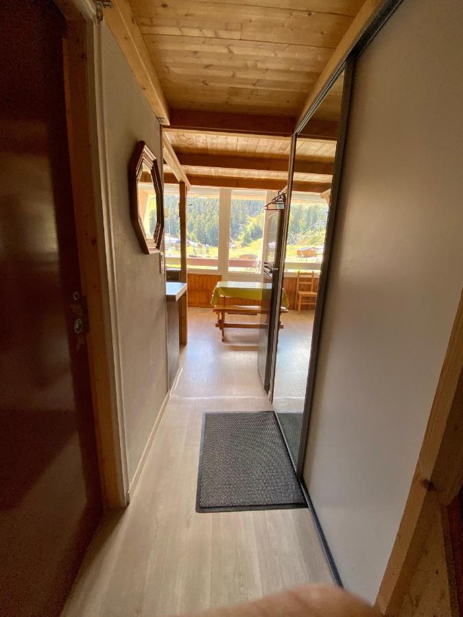 Super Lioran - Appartement Entierement Equipe Laveissiere Экстерьер фото